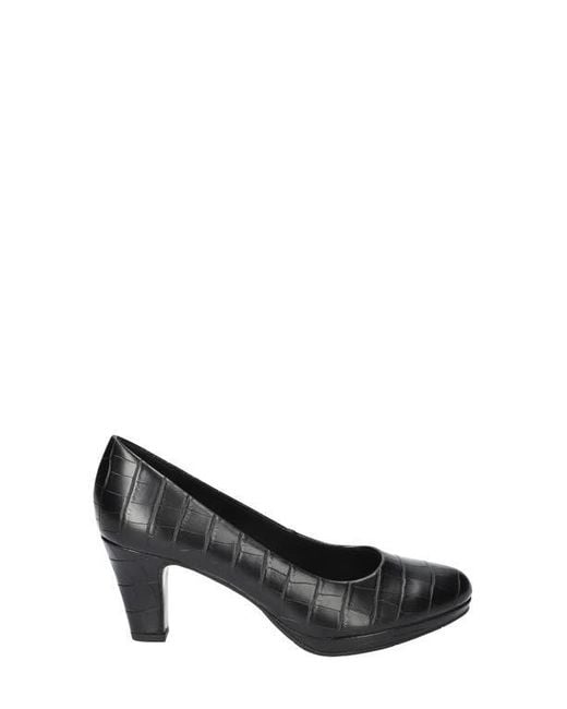 Easy Street Black Equinox Pump