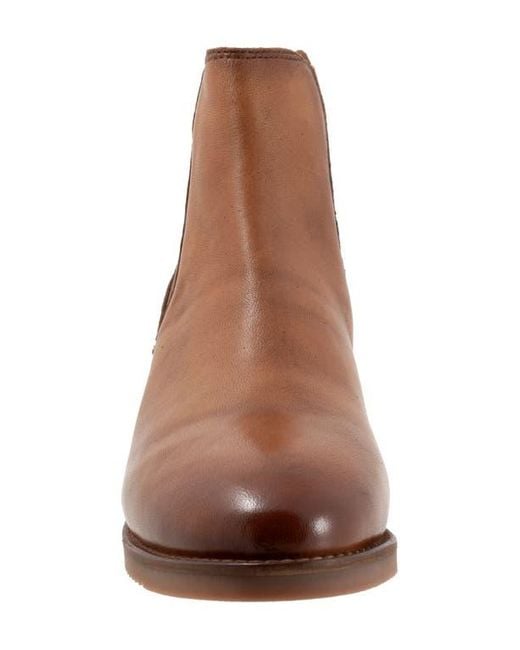 Softwalk® Brown Rana Chelsea Boot