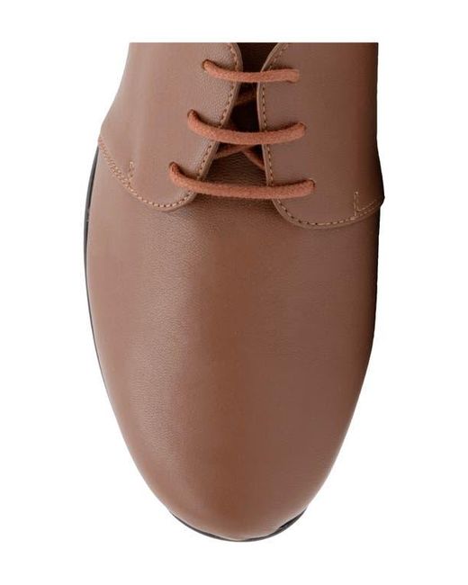 Amalfi by Rangoni Brown Jasmine Derby