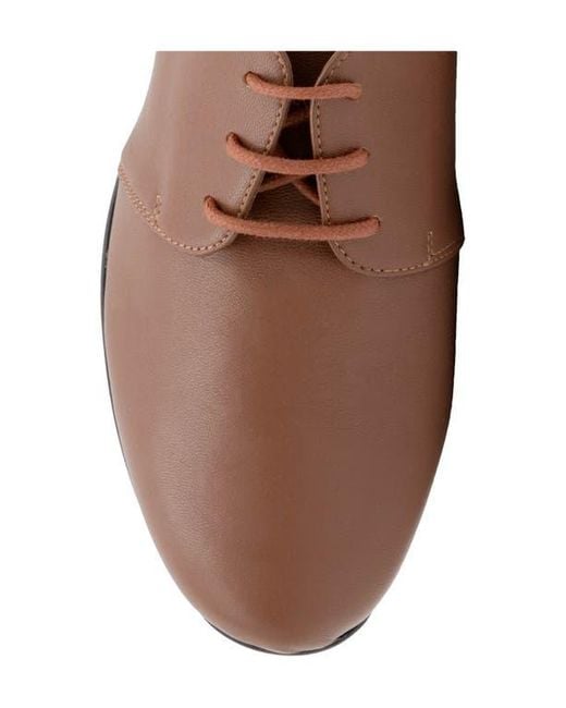 Amalfi by Rangoni Brown Jasmine Derby