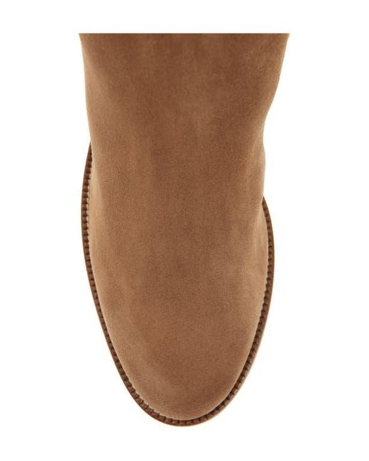 Aquatalia Brown Jasmina Weatherproof Knee High Boot