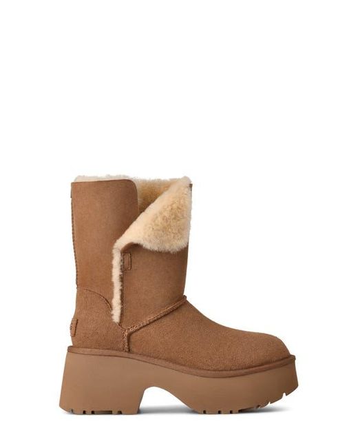Ugg Brown Esmee Leather Cuffable Tall Boot