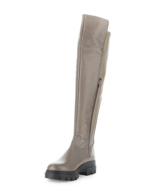 Bos. & Co. Brown Fifth Waterproof Knee High Boot