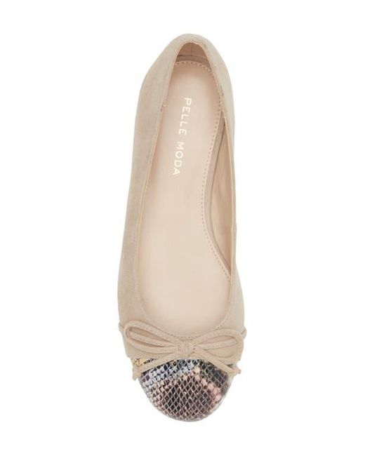 Pelle Moda Natural Saida Ballet Flat