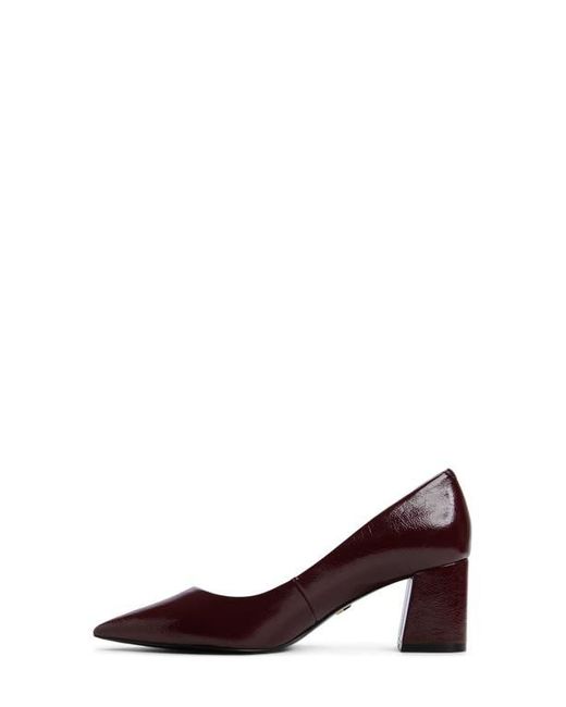ALDO Brown Ybalelin Pointed Toe Pump