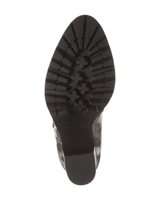 AllSaints Brown Ana Bootie