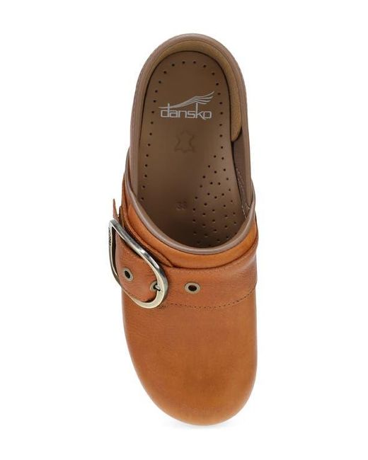 Dansko Brown Pearson Buckle Strap Clog
