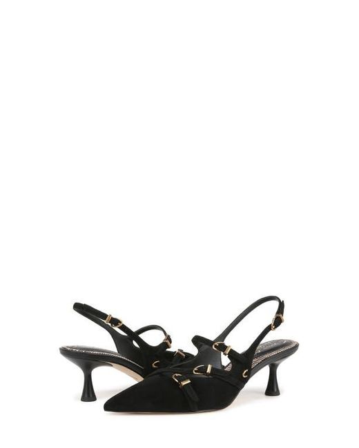 Circus by Sam Edelman Black Fraya Slingback Pointed Toe Pump