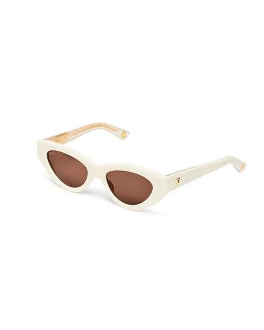 VADA Brown Catfish Sunglasses