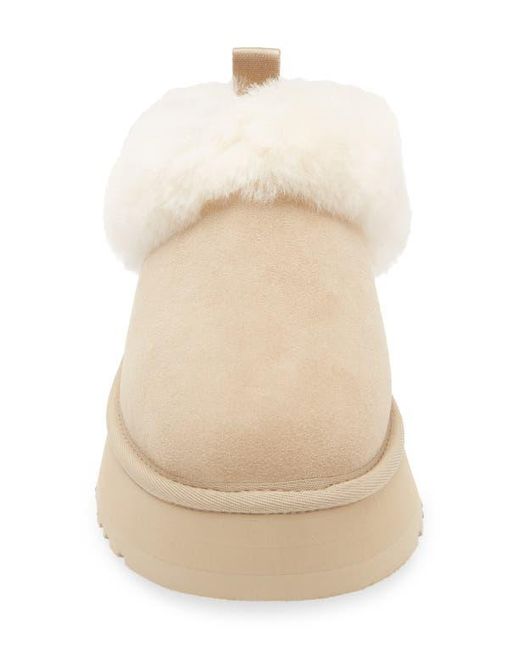 Ugg Natural Tazzelle Genuine Shearling Collar Slipper
