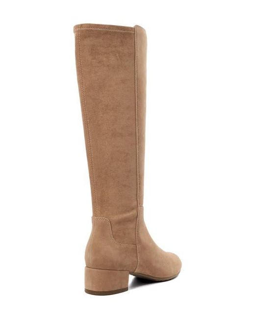 Dune Brown Tayla Knee High Boot