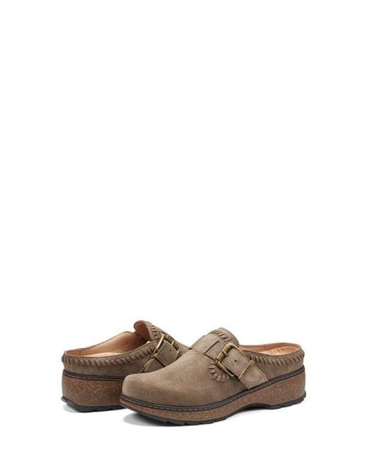 Earth Brown Kay Clog