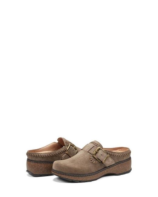 Earth Brown Kay Clog