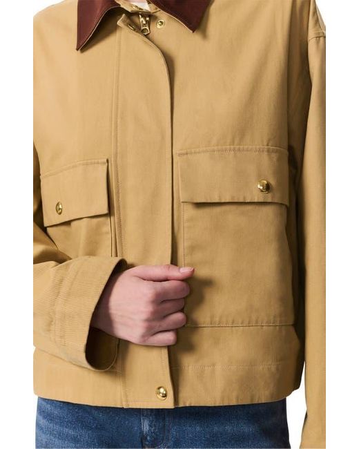 LOOKNONE Belt Jacket main image 0