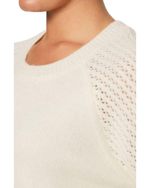 Sanctuary Natural Cozy Moment Pointelle Sleeve Sweater