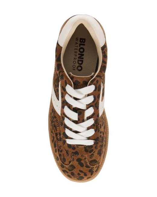 Blondo Brown Remmie Sneaker