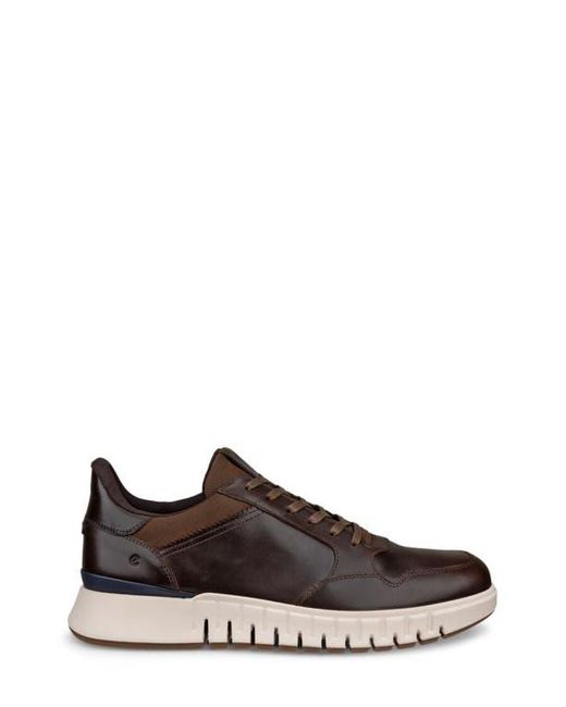 Ecco Brown Gruuv Studio Sneaker for men