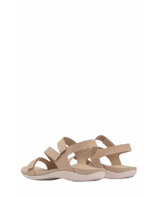 ABEO Brown Oasis Sandal