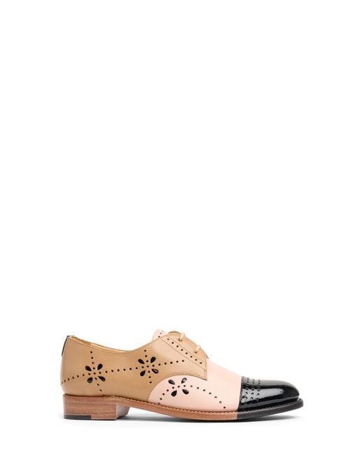 The Office Of Angela Scott Multicolor Mr. Ava Perforated Spectator Derby