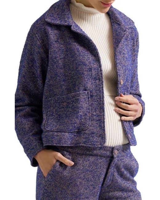 Cache Coeur Blue Pippa Maternity Jacket
