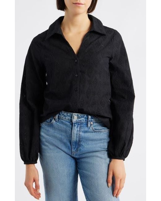 Bobeau Black Embroidered Eyelet Cotton Button-Up Shirt
