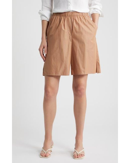 CISSA Brown Knee Length Shorts