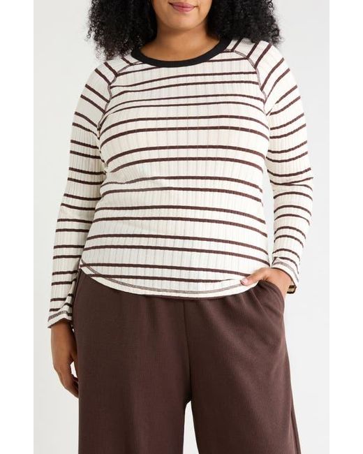 Wit & Wisdom Multicolor Ringer Rib Top
