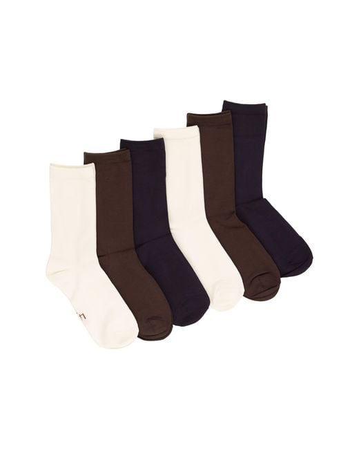 Felina Brown Assorted 6-Pack Soft Crew Socks