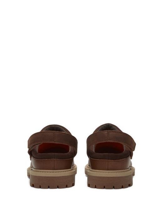 Timberland Brown Clog