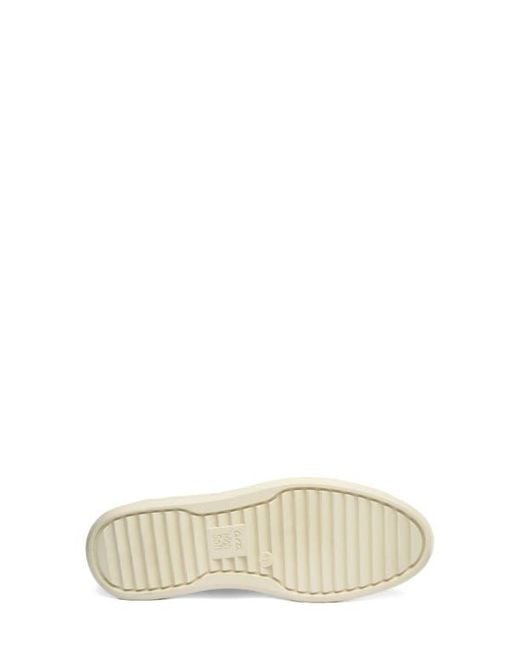 Ara Black Carol Sneaker