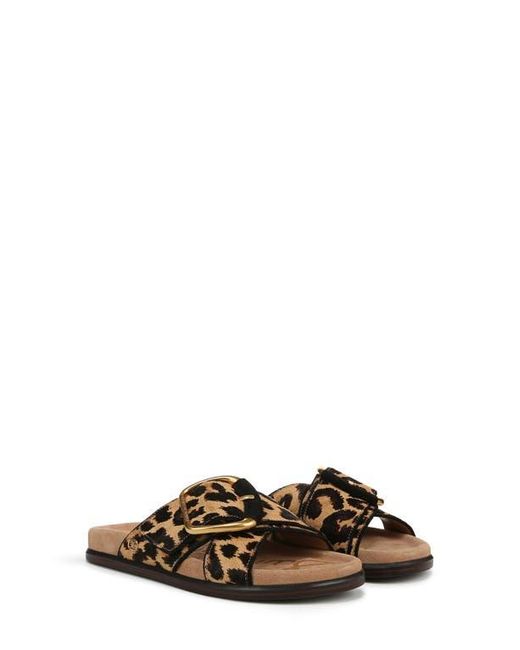 Sam Edelman Brown Darla Slide Sandal