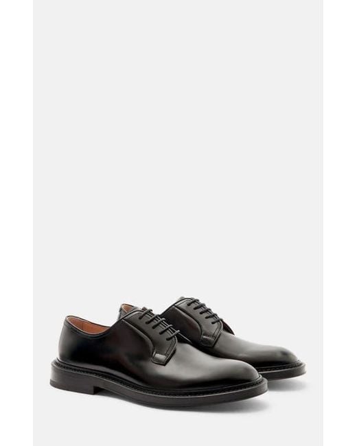 Scarosso Black Harry Derbies for men