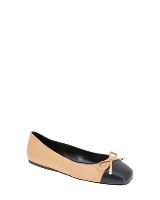 BCBGMAXAZRIA Multicolor Hartly Cap Toe Ballet Flat