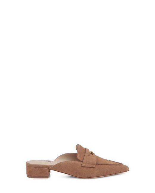 L'Agence Brown Provence Mule