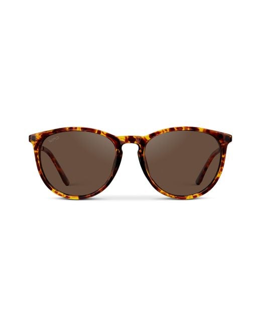 WMP Eyewear Brown Drew