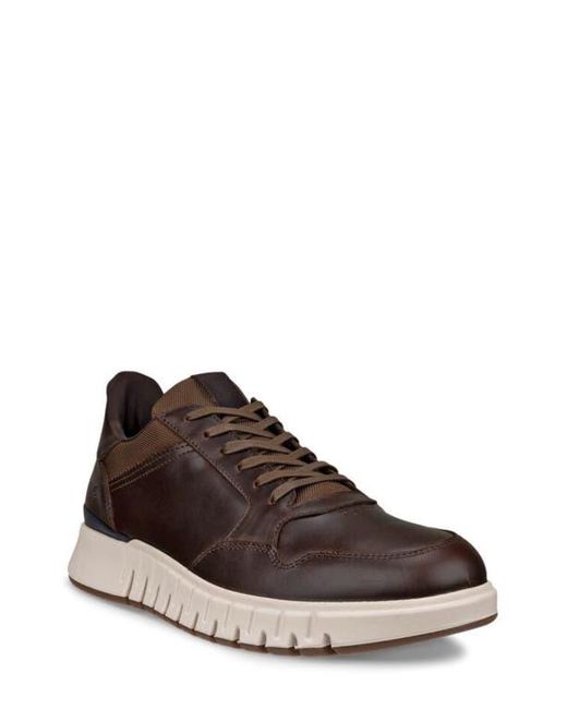 Ecco Brown Gruuv Studio Sneaker for men