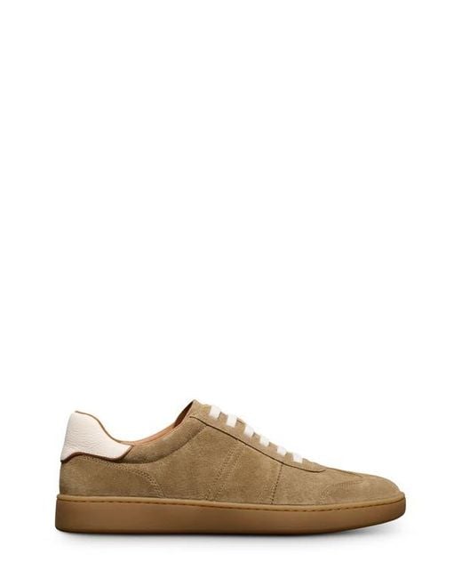 Allen Edmonds Brown Ludlow Slip-On Sneaker for men