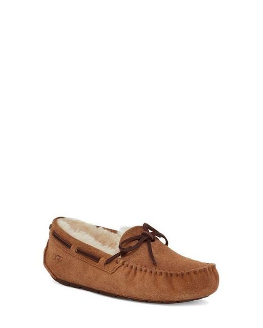 Ugg Brown Dakota Slipper