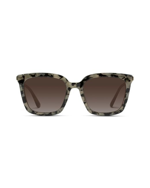 WMP Eyewear Brown Madison