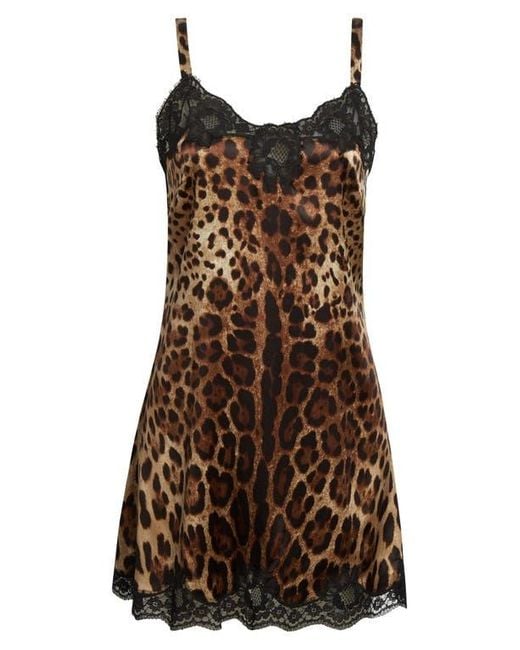 Dolce & Gabbana Brown Leopard Print Stretch Satin & Lace Slipdress