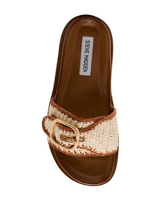 Steve Madden Brown Memphis Slide Sandal