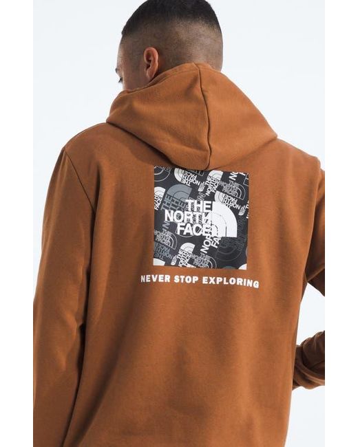 The North Face Brown Evolution Graphic Hoodie for men