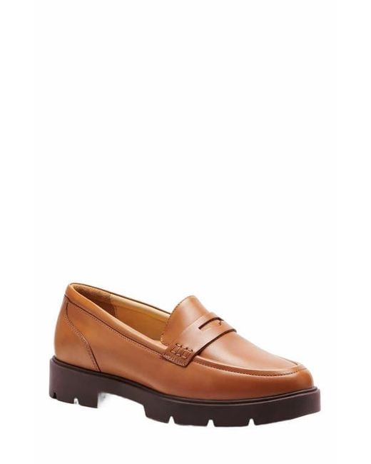 ABEO Brown Boulevard Loafer