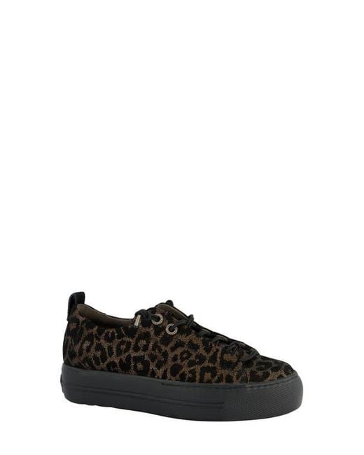 Paul Green Black Wisdom Sneaker