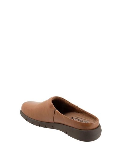 Softwalk® Brown Andria Mule