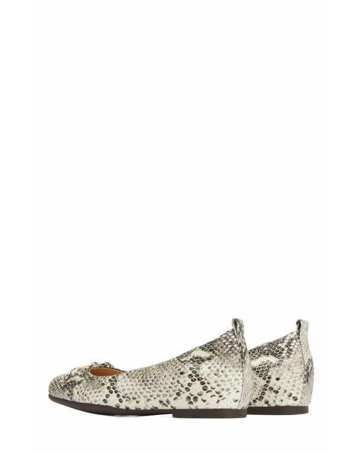 ABEO White Cadence Bow Ballet Flat