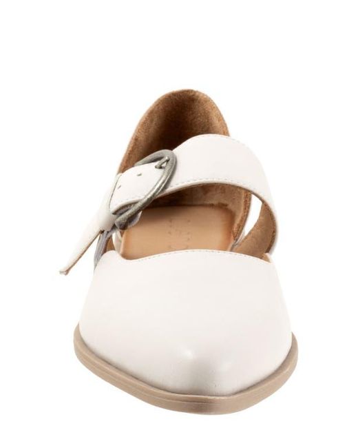 BUENO Multicolor Brittany Pointed Toe Flat