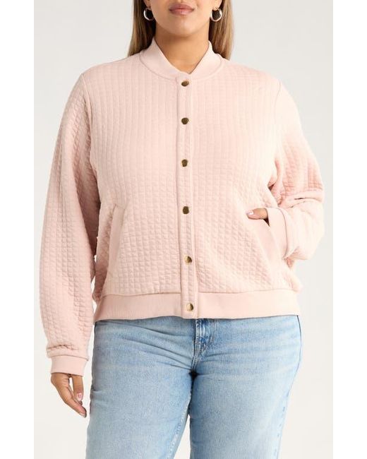 Caslon Pink Quilted Cotton Bomber Jacket