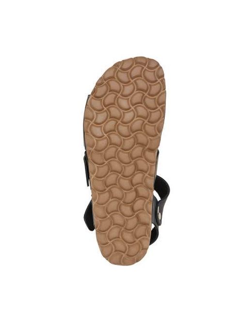 Celtic & Co. Black An Elegant Triple Strap Sandal