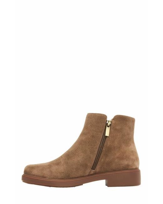 ABEO Brown Compass Zip Boot